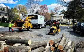 Professional Tree Removal and Landscaping Services in Brownville, NJ